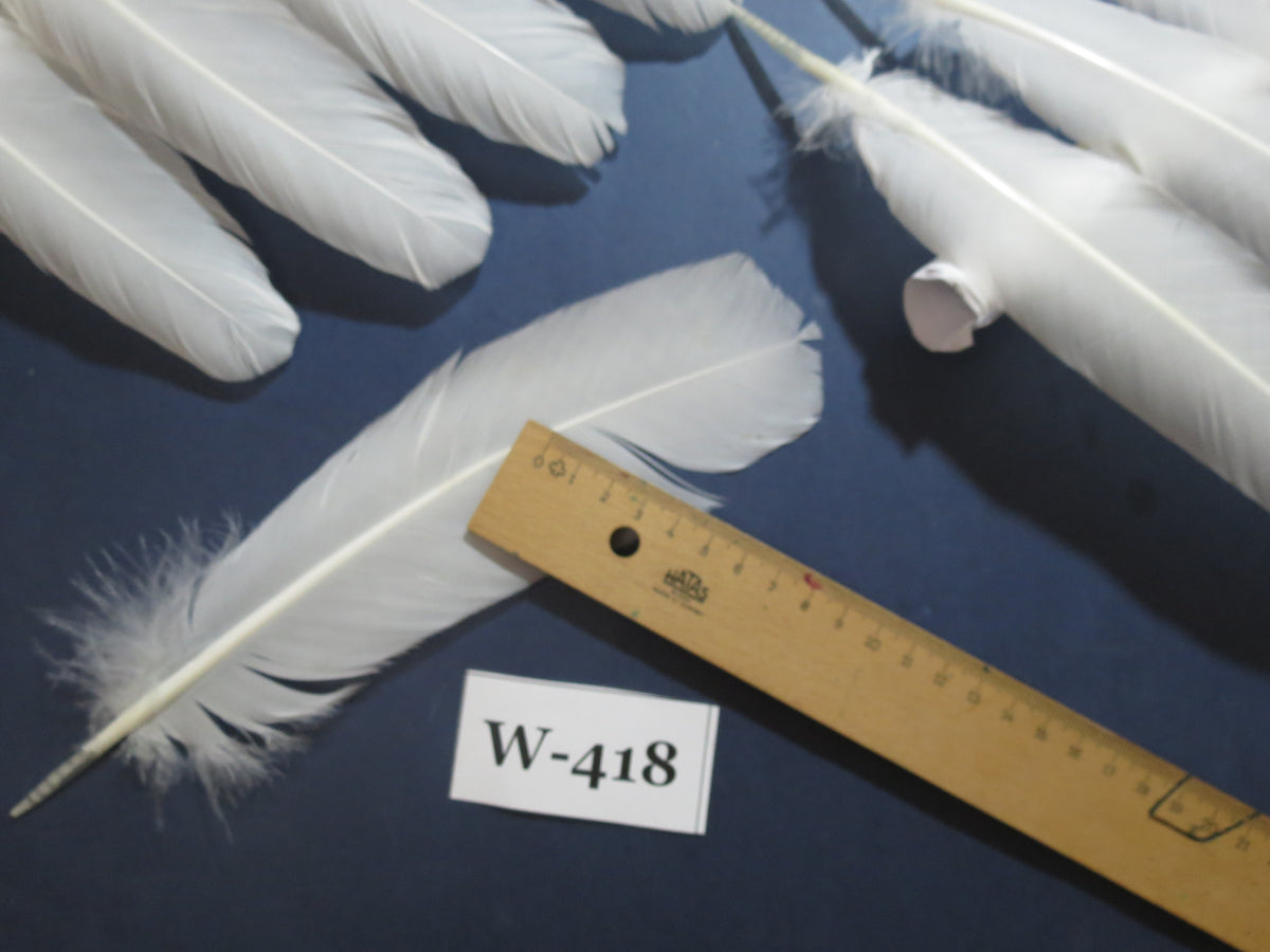 32 Pcs White Turkey Wing Feathers,Turkey Feathers,Fly Tying Material,Craft Feathers,Natural Feathers (W-418)