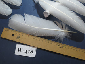 32 Pcs White Turkey Wing Feathers,Turkey Feathers,Fly Tying Material,Craft Feathers,Natural Feathers (W-418)