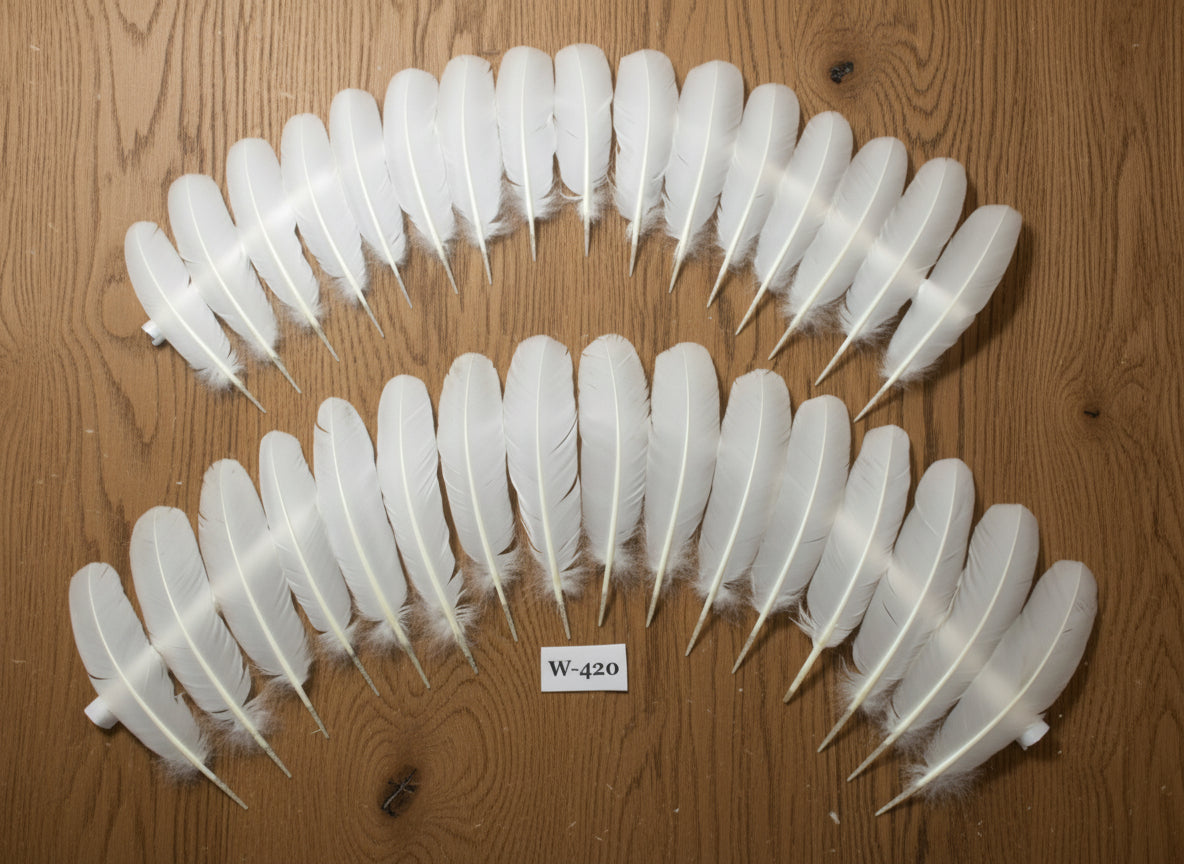 32 Pcs White Turkey Wing Feathers,Turkey Feathers,Fly Tying Material,Craft Feathers,Natural Feathers (W-420)