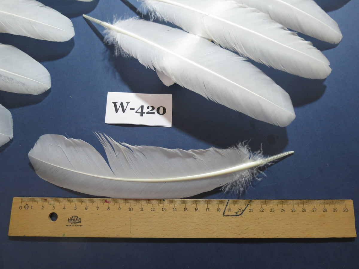 32 Pcs White Turkey Wing Feathers,Turkey Feathers,Fly Tying Material,Craft Feathers,Natural Feathers (W-420)