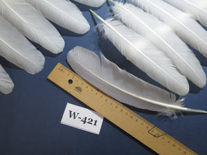 32 Pcs White Turkey Wing Feathers,Turkey Feathers,Fly Tying Material,Craft Feathers,Natural Feathers (W-421)