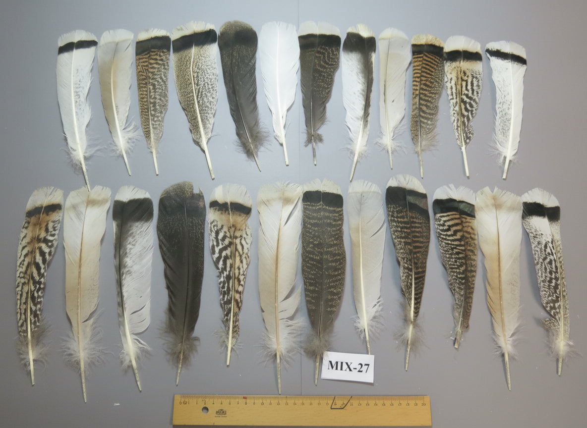 24 Pcs Natural Turkey Tail Feathers, Fly Tying Materials, Genuine Feathers (MIX-27)