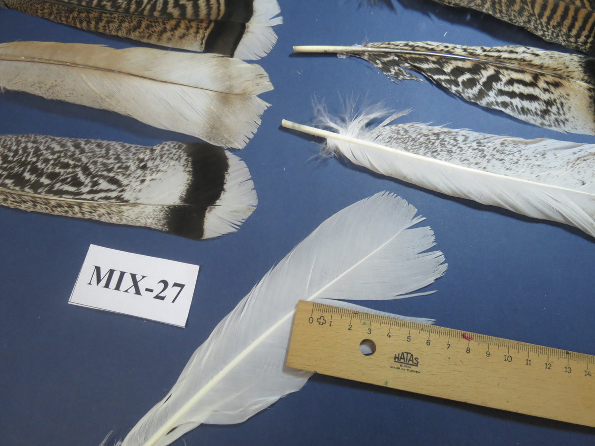 24 Pcs Natural Turkey Tail Feathers, Fly Tying Materials, Genuine Feathers (MIX-27)