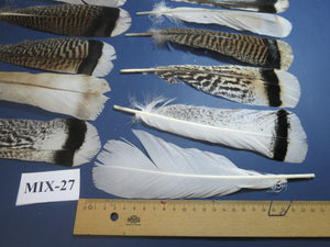24 Pcs Natural Turkey Tail Feathers, Fly Tying Materials, Genuine Feathers (MIX-27)