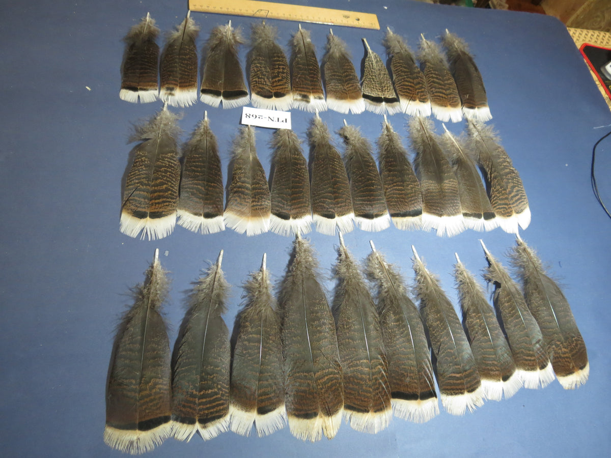 30 Pcs Natural Turkey Pre-Tail Feathers, Turkey Feathers,Fly Tying Material,Craft Feathers,Natural Feathers PTN-268