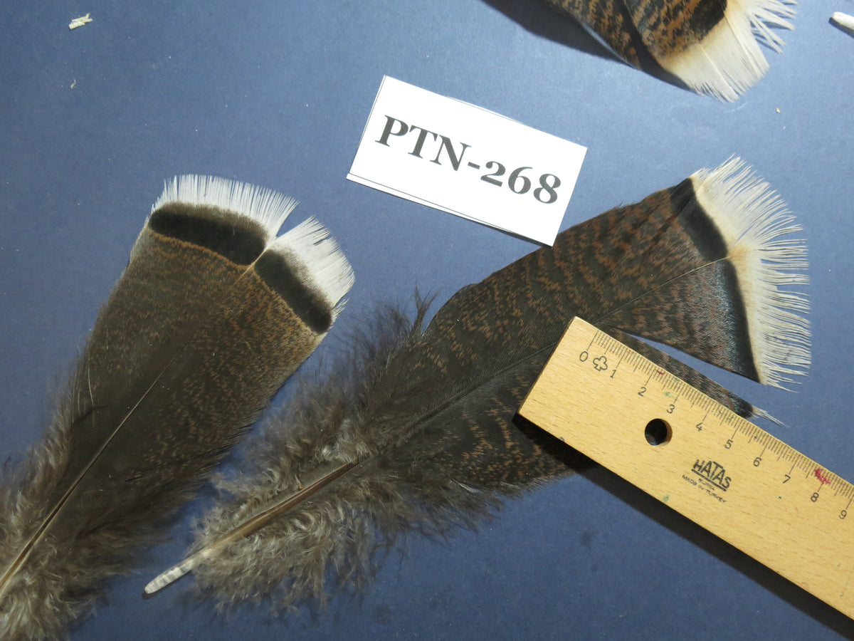 30 Pcs Natural Turkey Pre-Tail Feathers, Turkey Feathers,Fly Tying Material,Craft Feathers,Natural Feathers PTN-268