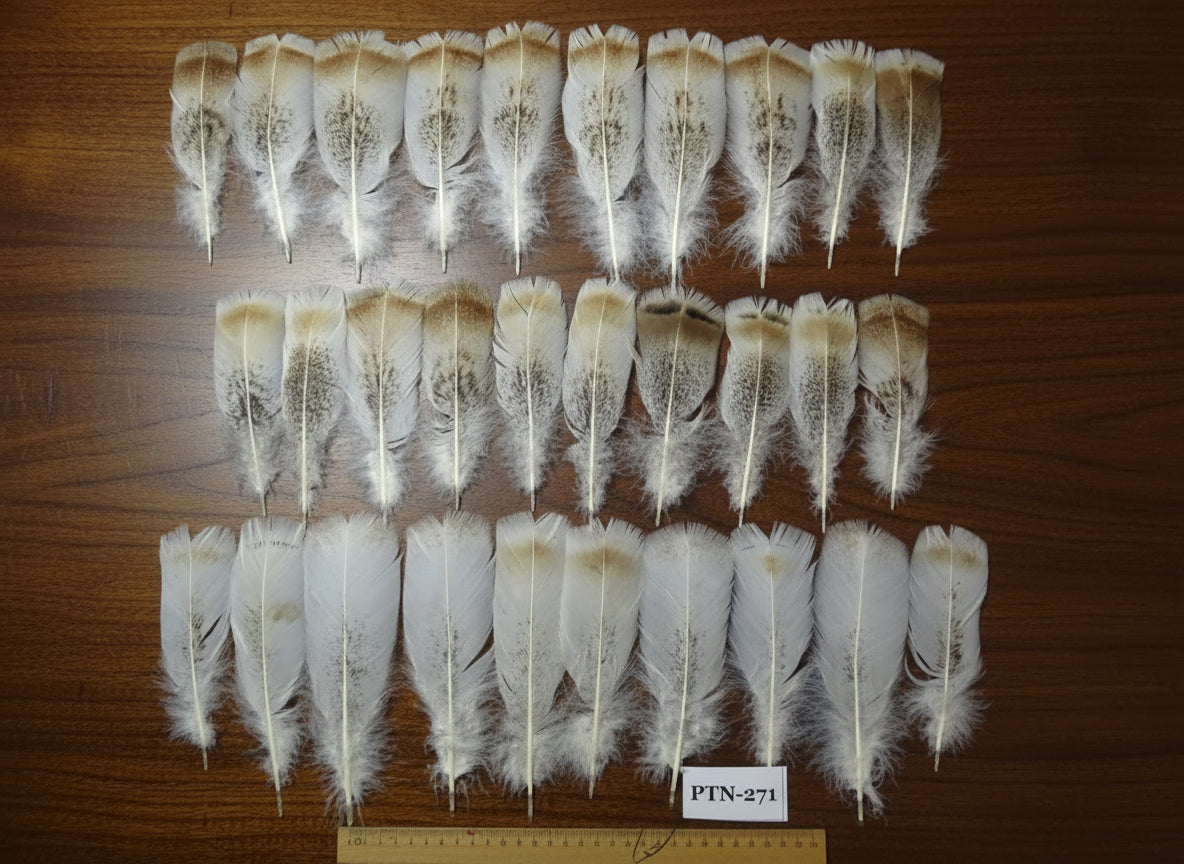 30 Pcs Natural Turkey Pre-Tail Feathers, Turkey Feathers,Fly Tying Material,Craft Feathers,Natural Feathers PTN-271