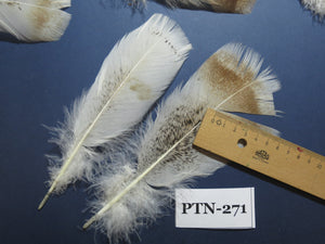 30 Pcs Natural Turkey Pre-Tail Feathers, Turkey Feathers,Fly Tying Material,Craft Feathers,Natural Feathers PTN-271
