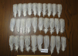 30 Pcs Natural Turkey Pre-Tail Feathers,Turkey Feathers,Fly Tying Material,Craft Feathers,Natural Feathers PTN-273