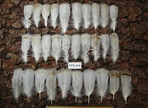30 Pcs Natural Turkey Pre-Tail Feathers,Turkey Feathers,Fly Tying Material,Craft Feathers,Natural Feathers PTN-276