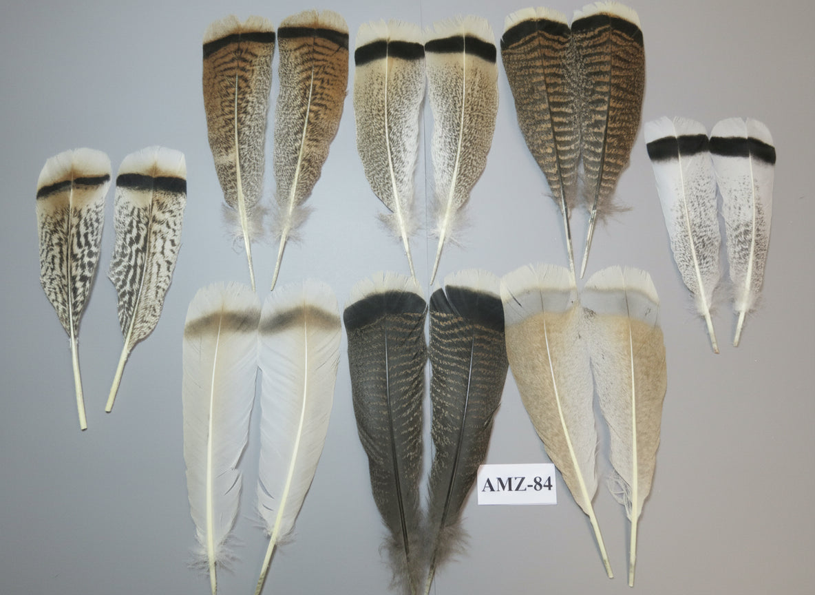 8 Pairs Turkey Feathers, Tail Feathers, Fly Tying Materials, Natural Feathers (AZM-84)