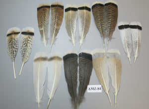 8 Pairs Turkey Feathers, Tail Feathers, Fly Tying Materials, Natural Feathers (AZM-84)