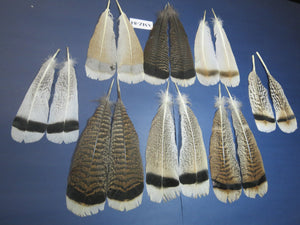 8 Pairs Turkey Feathers, Tail Feathers, Fly Tying Materials, Natural Feathers (AZM-84)