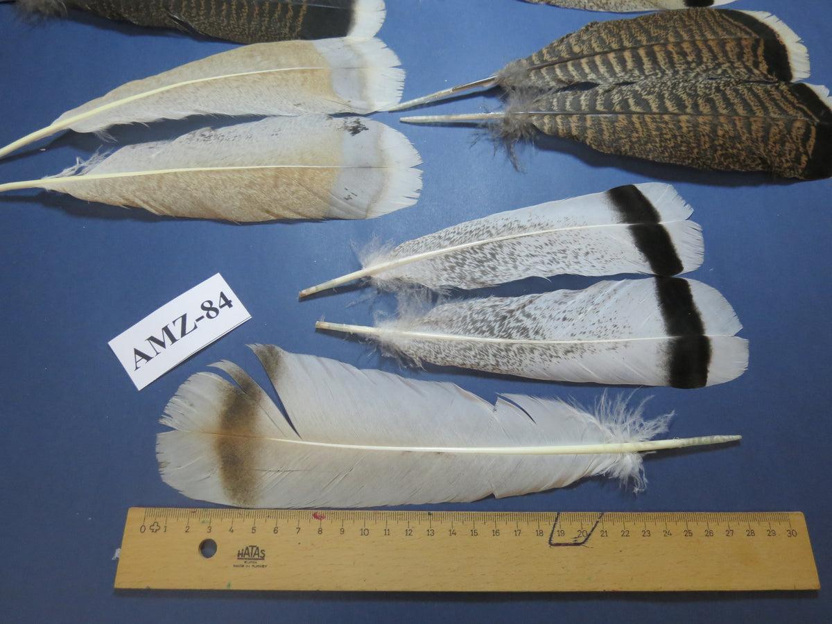 8 Pairs Turkey Feathers, Tail Feathers, Fly Tying Materials, Natural Feathers (AZM-84)