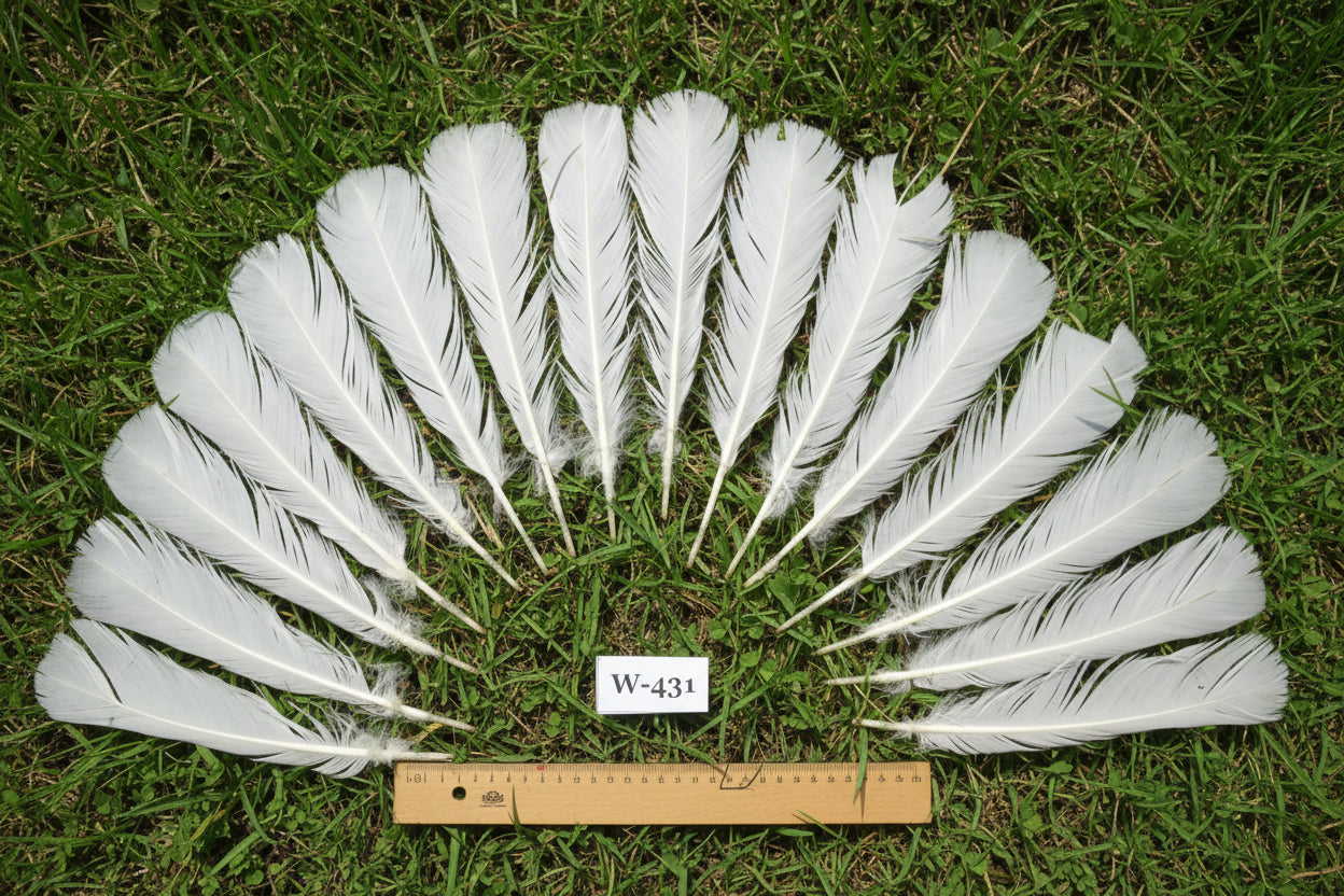 16 Pcs White Turkey Tail Feathers, Fly Tying Materials,Long Feathers. (W-431)