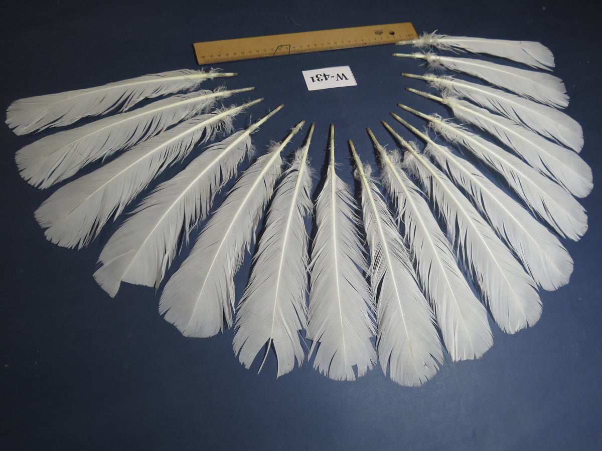 16 Pcs White Turkey Tail Feathers, Fly Tying Materials,Long Feathers. (W-431)