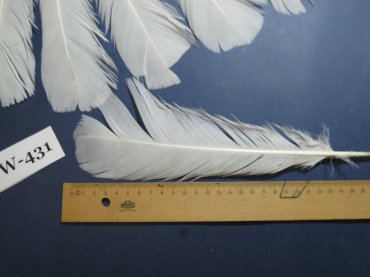 16 Pcs White Turkey Tail Feathers, Fly Tying Materials,Long Feathers. (W-431)