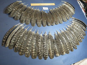 42 Pcs Natural Turkey Wing Feathers, Turkey Feathers,Fly Tying Material,Craft Feathers,Natural Feathers(1947)
