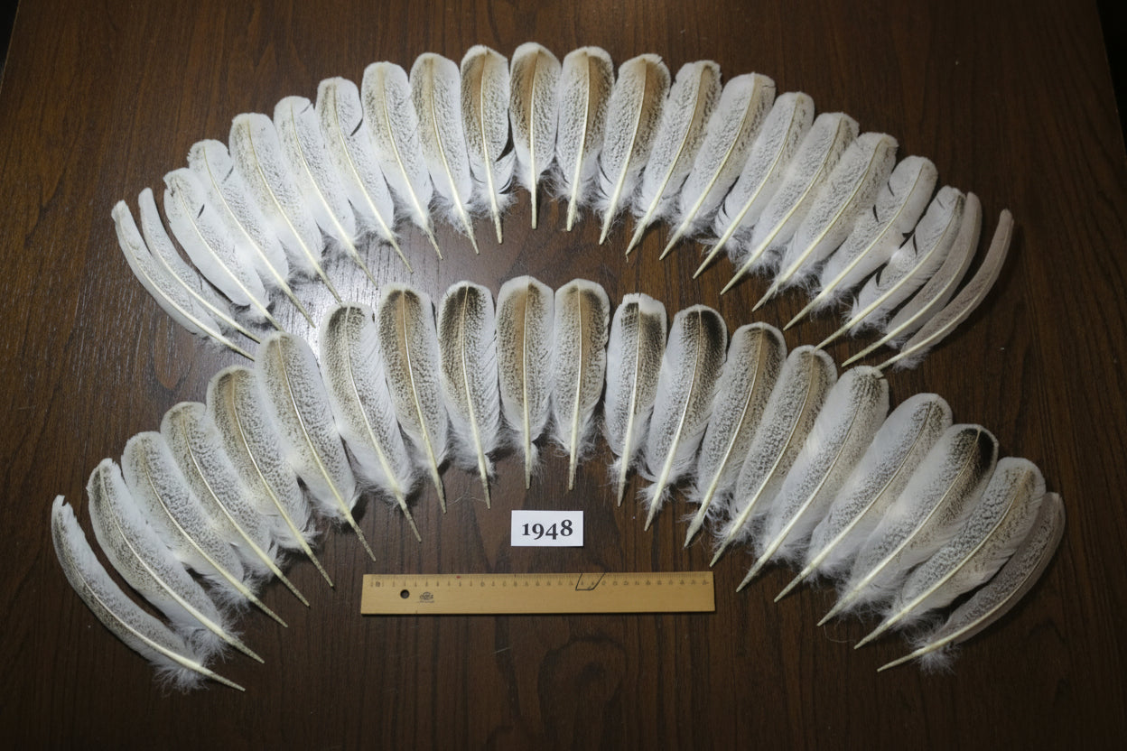 42 Pcs Natural Turkey Wing Feathers, Fly Tying Materials, Smudging Feathers (1948)