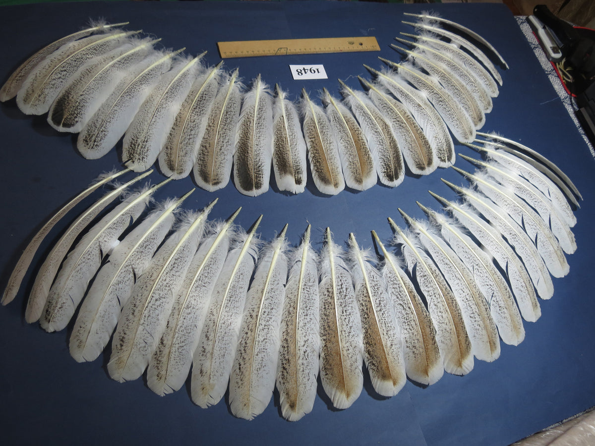 42 Pcs Natural Turkey Wing Feathers, Turkey Feathers,Fly Tying Material,Craft Feathers,Natural Feathers (1948)
