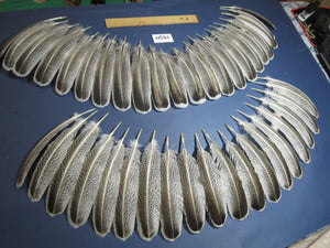 42 Pcs Natural Turkey Wing Feathers,Turkey Feathers,Fly Tying Material,Craft Feathers,Natural Feathers (1950)