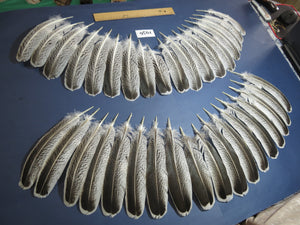 36 Pcs Natural Turkey Wing Feathers, Turkey Feathers,Fly Tying Material,Craft Feathers,Natural Feathers (1956)