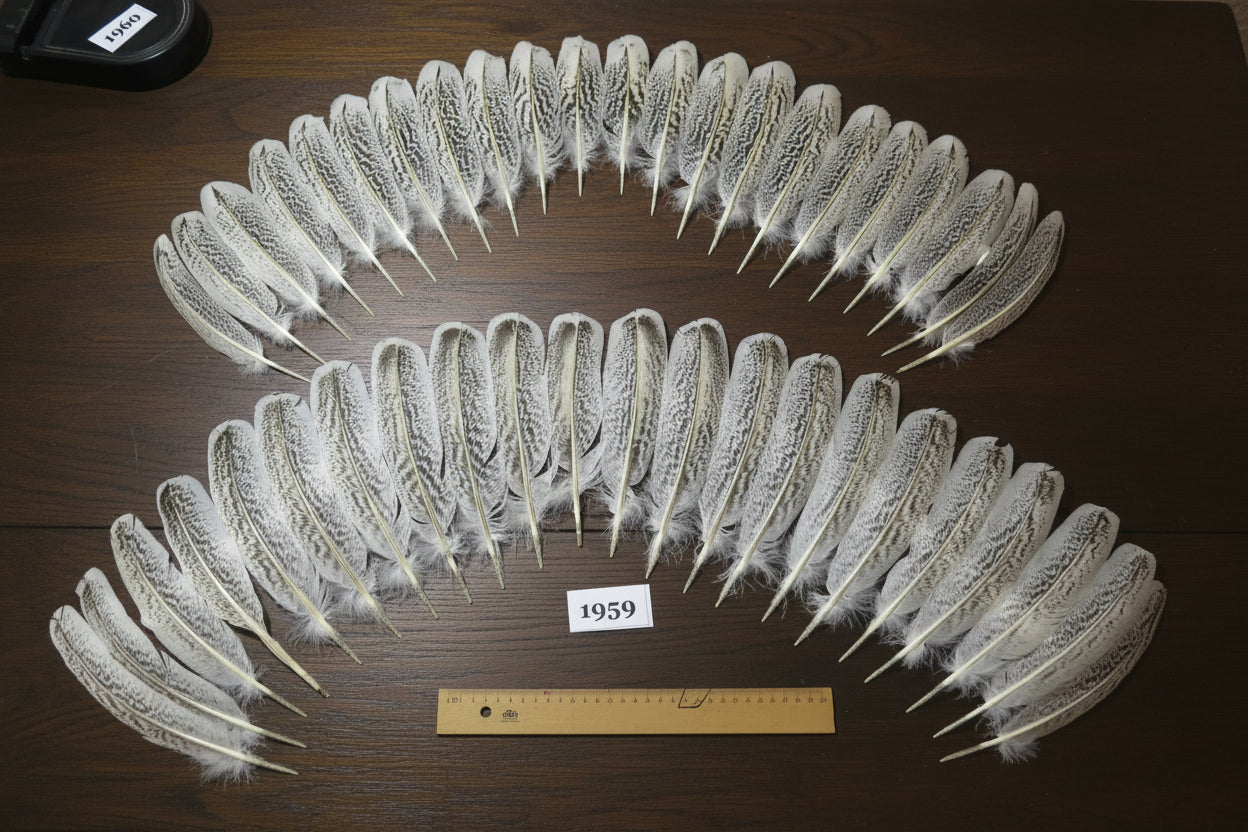 44 Pcs Natural Turkey Wing Feathers, Fly Tying Materials, Smudging Feathers (1959)