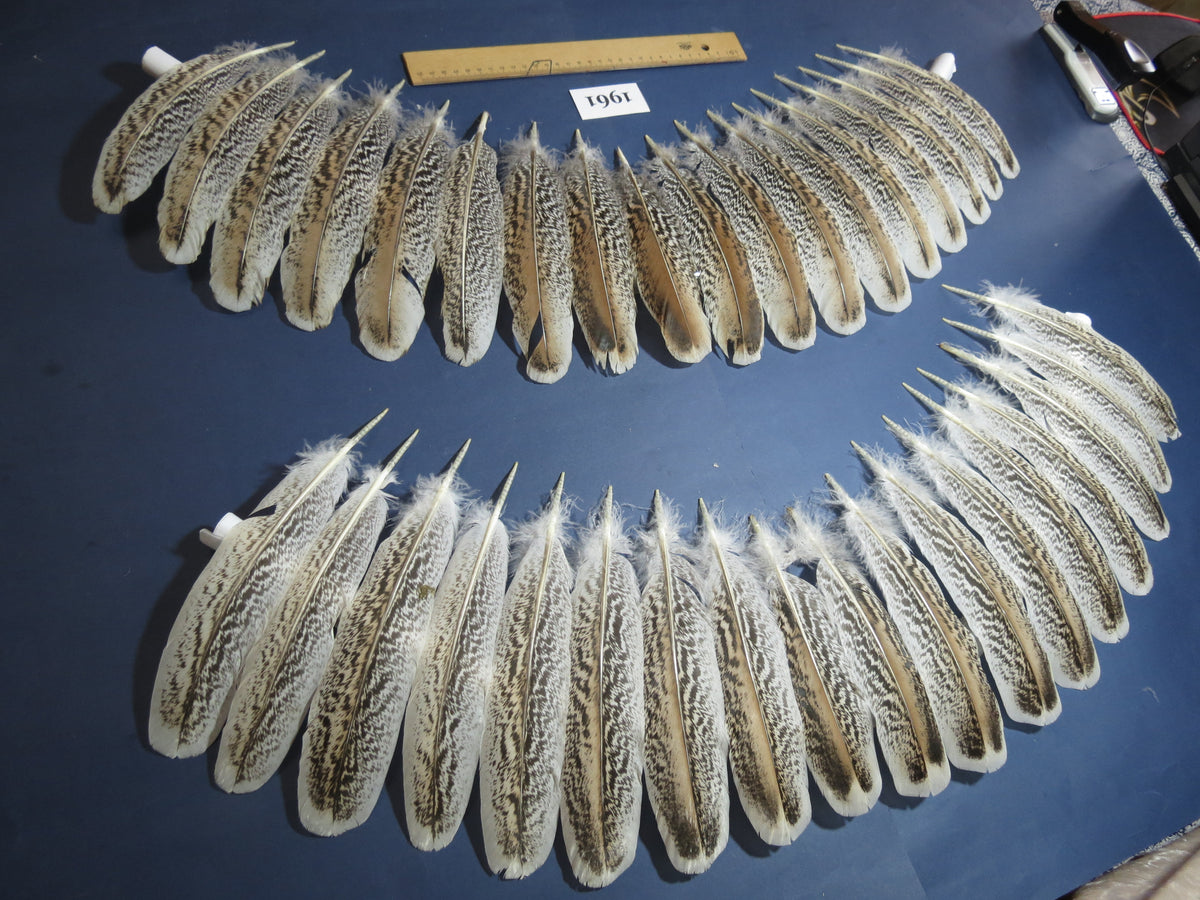36 Pcs Natural Turkey Wing Feathers, Fly Tying Materials, Hat Feathers (1961)