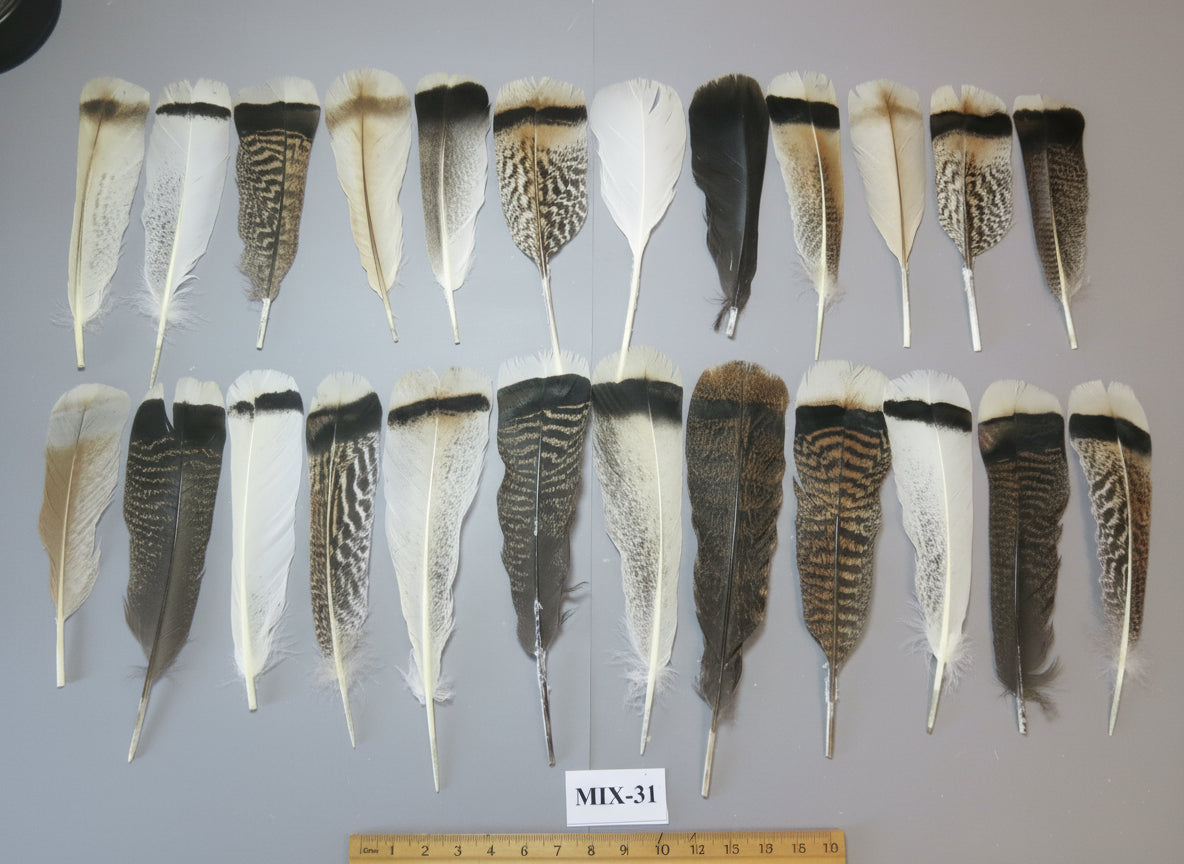 24 Pcs Natural Turkey Tail Feathers, Fly Tying Materials, Genuine Feathers (MIX-31)