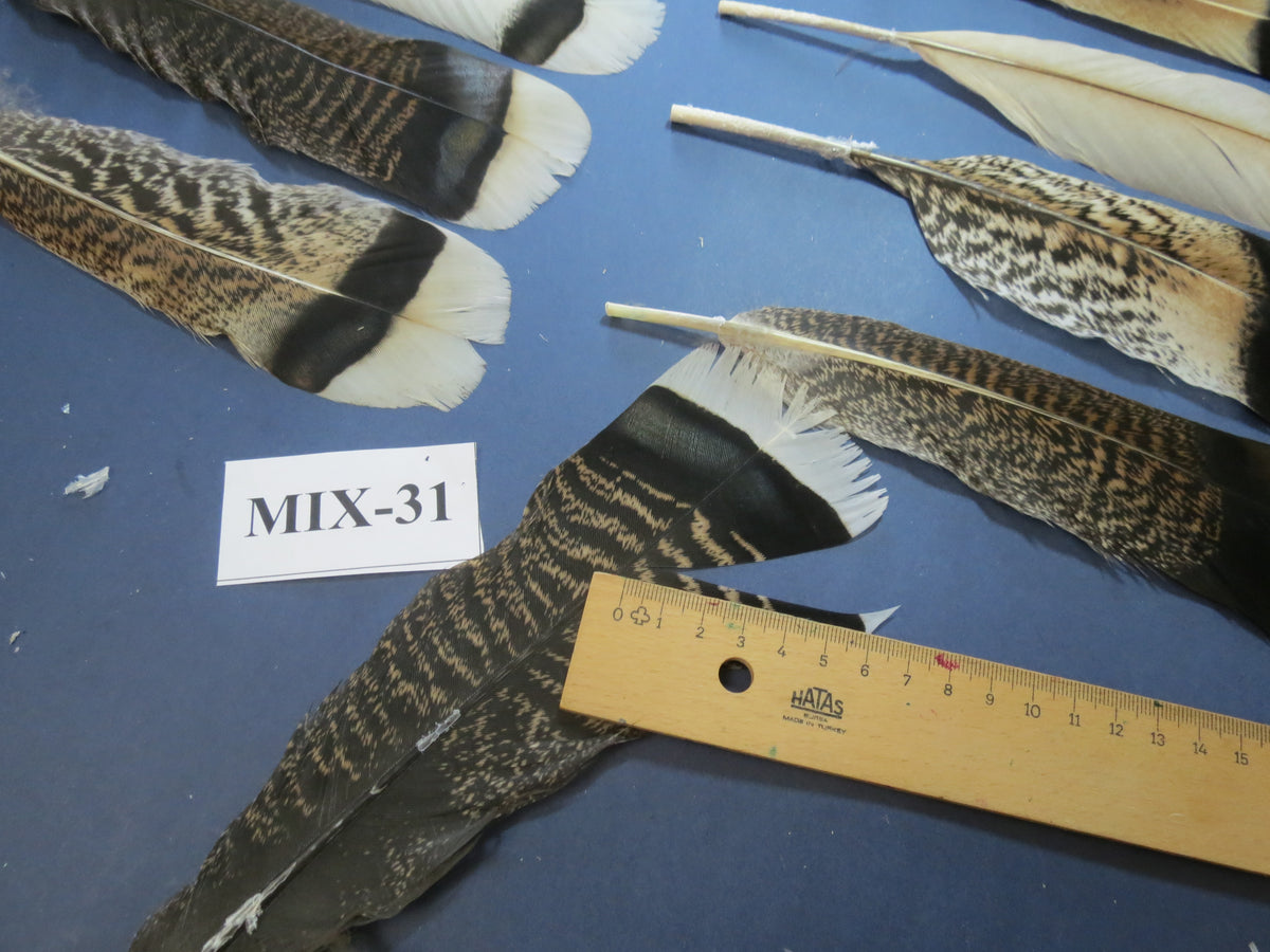 24 Pcs Natural Turkey Tail Feathers, Fly Tying Materials, Genuine Feathers (MIX-31)