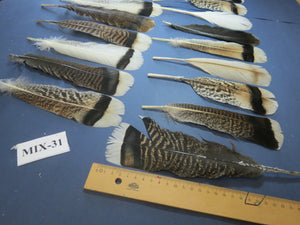 24 Pcs Natural Turkey Tail Feathers, Fly Tying Materials, Genuine Feathers (MIX-31)