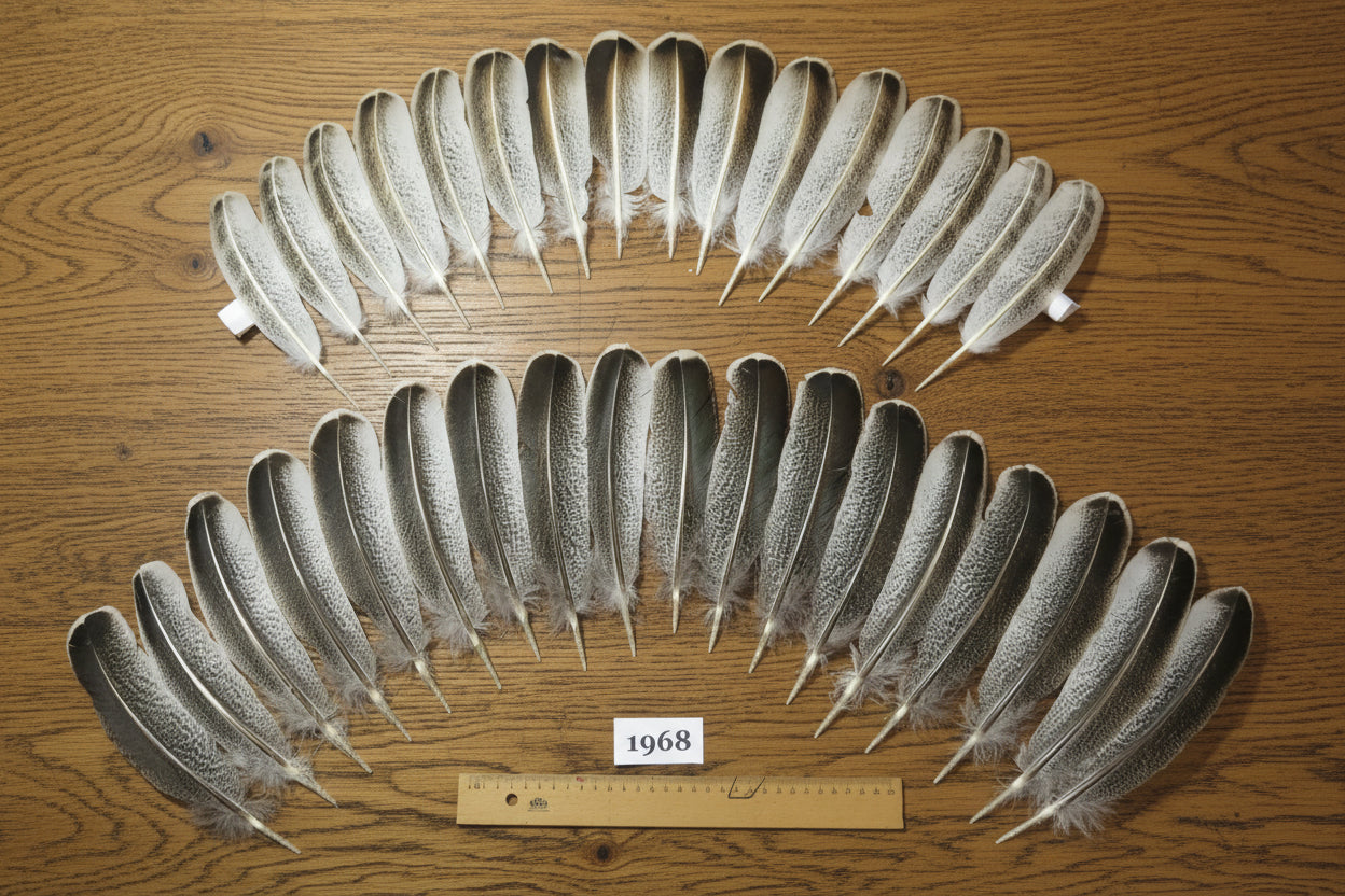 34 Pcs Natural Turkey Wing Feathers, Fly Tying Materials, Smudging Feathers (1968)