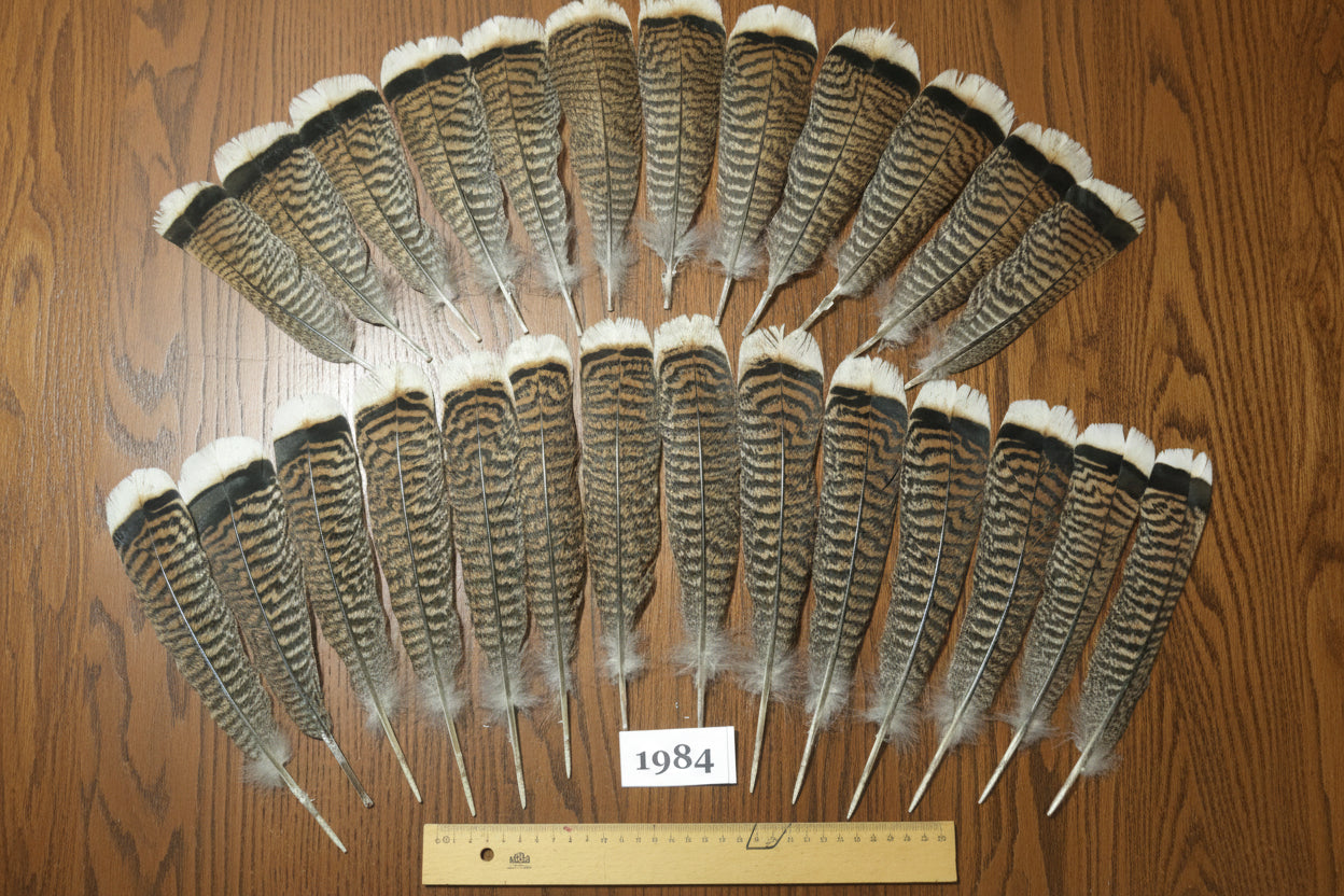 26 Pcs Natural Turkey Tail Feathers, Fly Tying Materials,Hat Feathers. (1984)