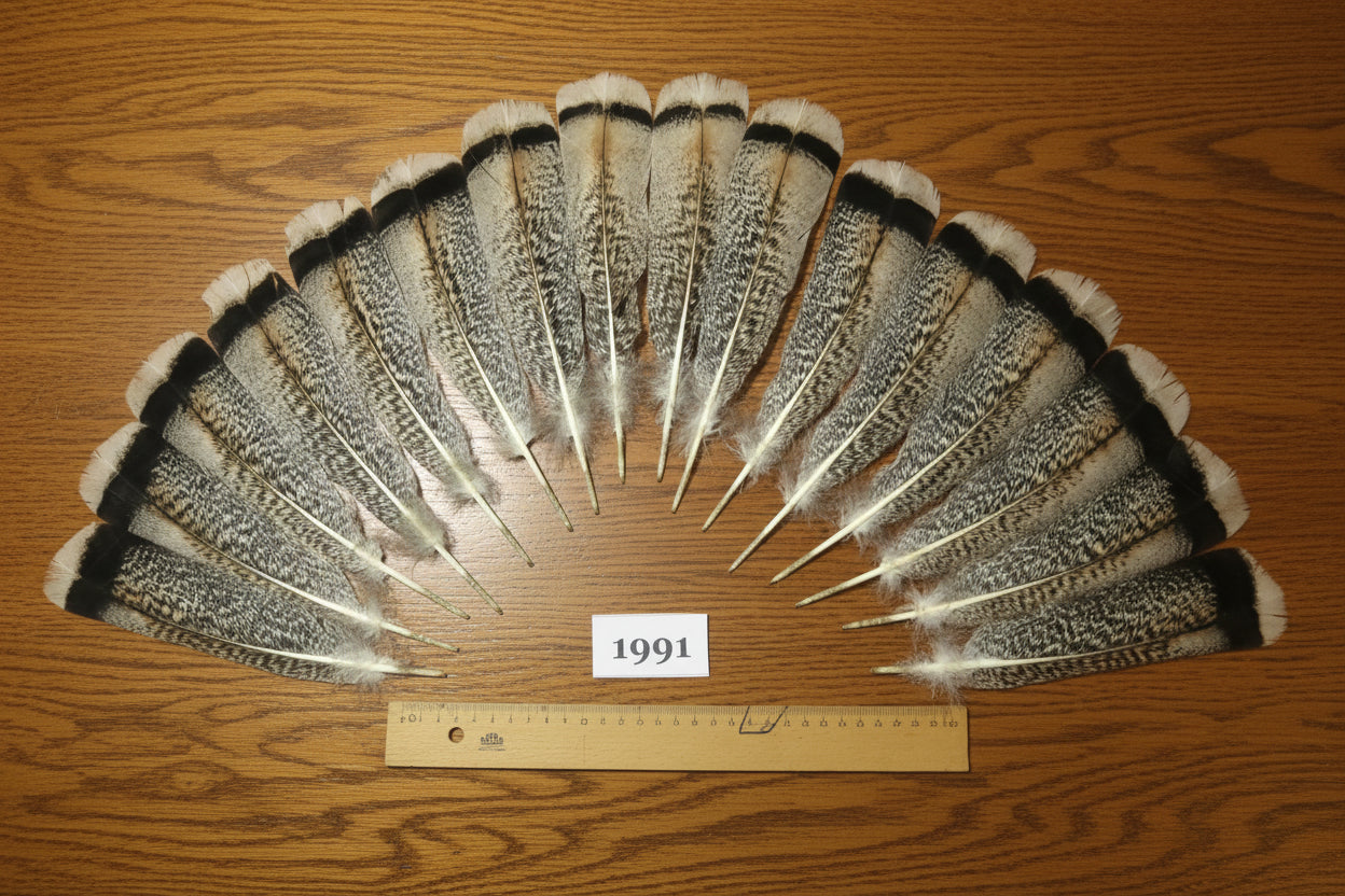 16 Pcs Natural Turkey Tail Feathers, Fly Tying Materials,Pinion Feathers. (1991)