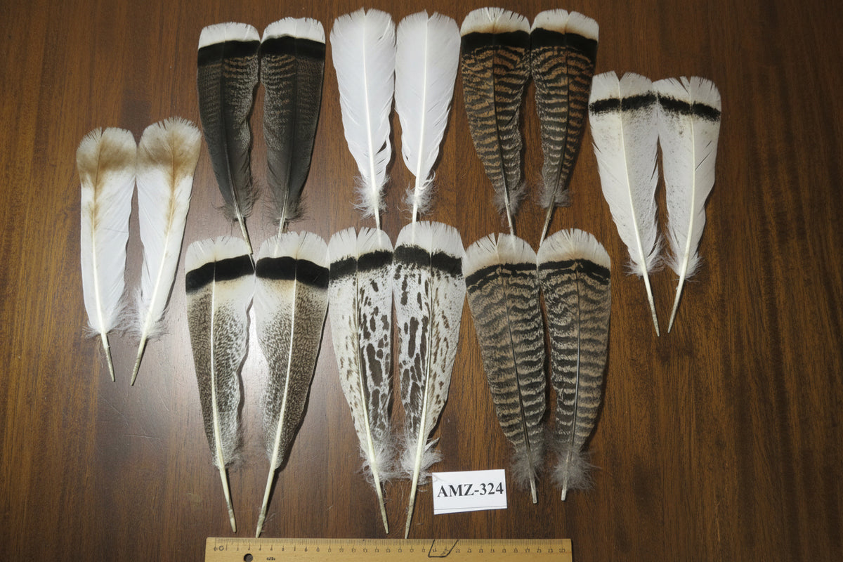 8 Pairs Turkey Feathers, Tail Feathers, Turkey Feathers,Fly Tying Material,Craft Feathers,Natural Feathers (AMZ-324)