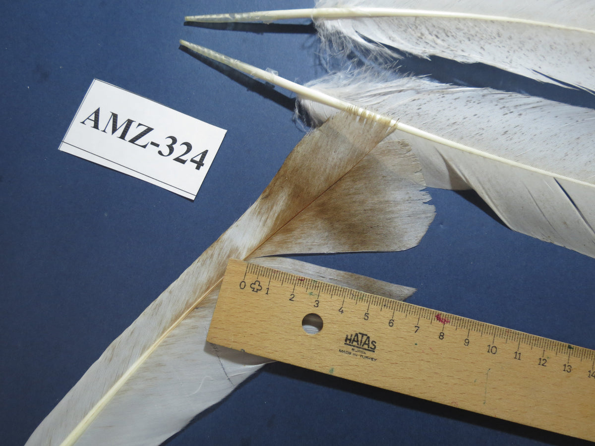 8 Pairs Turkey Feathers, Tail Feathers, Turkey Feathers,Fly Tying Material,Craft Feathers,Natural Feathers (AMZ-324)