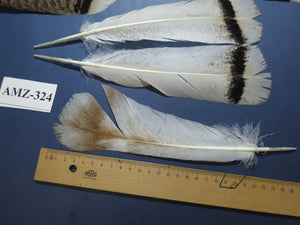 8 Pairs Turkey Feathers, Tail Feathers, Turkey Feathers,Fly Tying Material,Craft Feathers,Natural Feathers (AMZ-324)