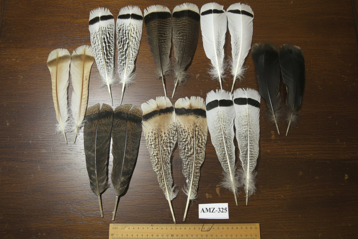8 Pairs Turkey Feathers, Tail Feathers, Turkey Feathers,Fly Tying Material,Craft Feathers,Natural Feathers (AMZ-325)