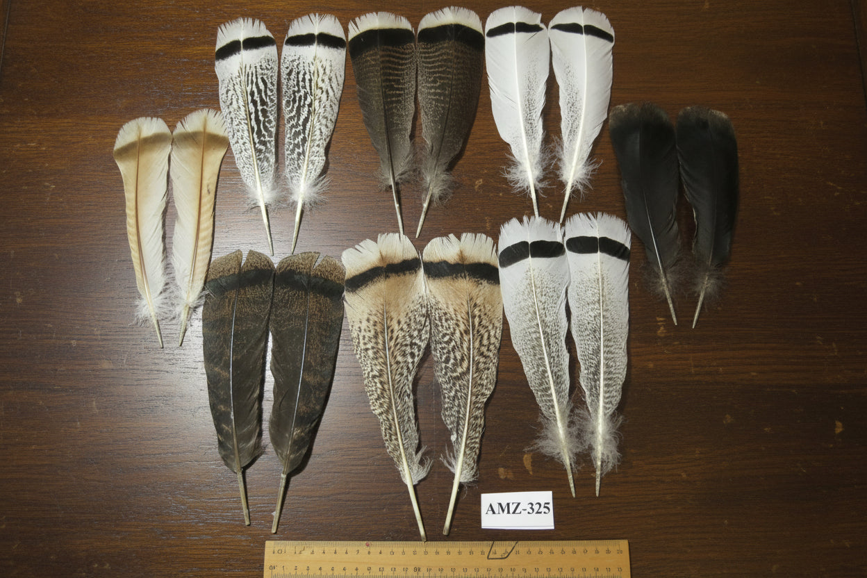 8 Pairs Turkey Feathers, Tail Feathers, Turkey Feathers,Fly Tying Material,Craft Feathers,Natural Feathers (AMZ-325)