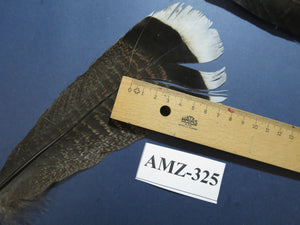 8 Pairs Turkey Feathers, Tail Feathers, Turkey Feathers,Fly Tying Material,Craft Feathers,Natural Feathers (AMZ-325)