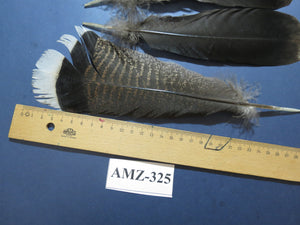 8 Pairs Turkey Feathers, Tail Feathers, Turkey Feathers,Fly Tying Material,Craft Feathers,Natural Feathers (AMZ-325)