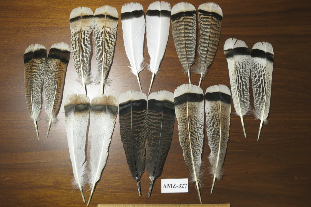 8 Pairs Turkey Feathers, Tail Feathers,Turkey Feathers,Fly Tying Material,Craft Feathers,Natural Feathers (AMZ-327)