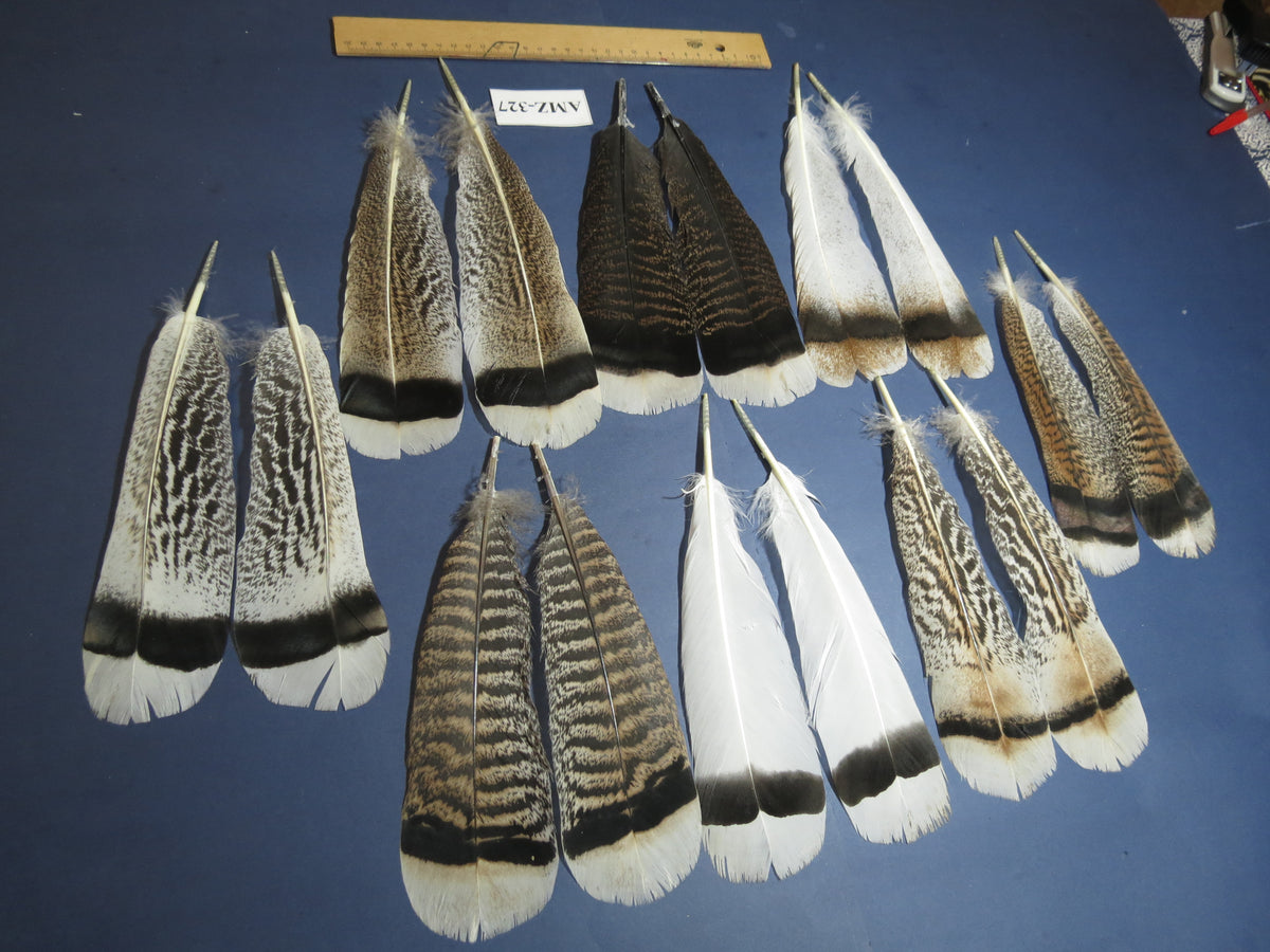 8 Pairs Turkey Feathers, Tail Feathers,Turkey Feathers,Fly Tying Material,Craft Feathers,Natural Feathers (AMZ-327)