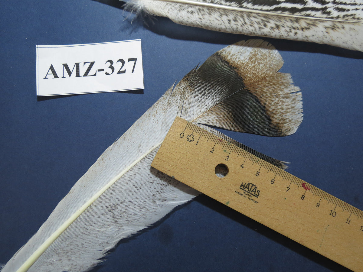 8 Pairs Turkey Feathers, Tail Feathers,Turkey Feathers,Fly Tying Material,Craft Feathers,Natural Feathers (AMZ-327)