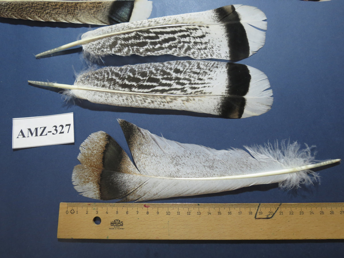 8 Pairs Turkey Feathers, Tail Feathers,Turkey Feathers,Fly Tying Material,Craft Feathers,Natural Feathers (AMZ-327)