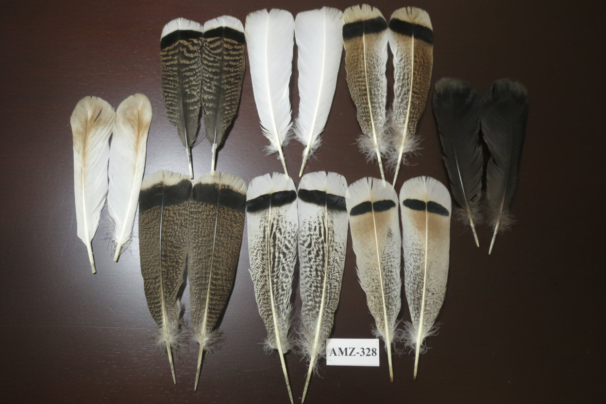 8 Pairs Turkey Feathers, Tail Feathers, Turkey Feathers,Fly Tying Material,Craft Feathers,Natural Feathers (AMZ-328)