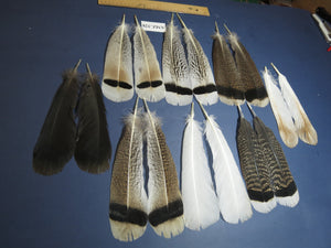 8 Pairs Turkey Feathers, Tail Feathers, Turkey Feathers,Fly Tying Material,Craft Feathers,Natural Feathers (AMZ-328)