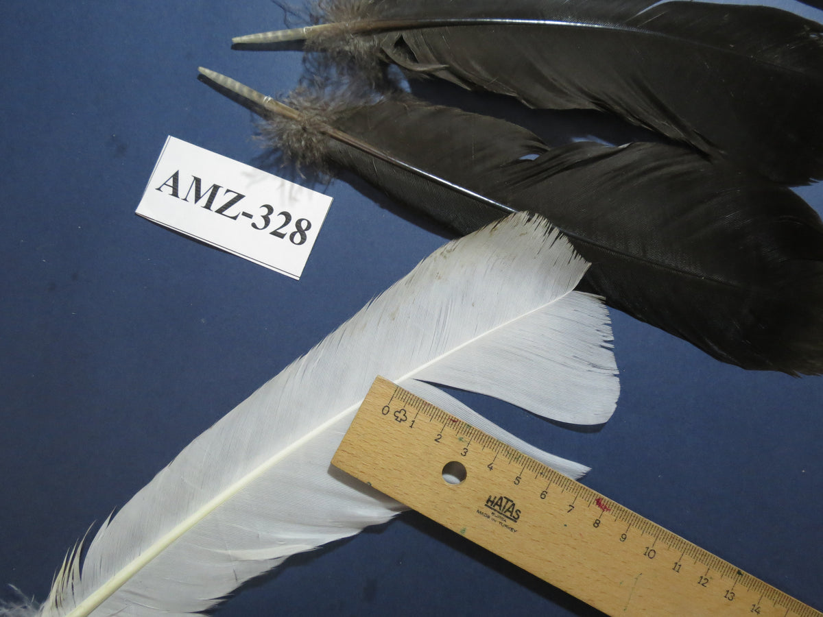 8 Pairs Turkey Feathers, Tail Feathers, Turkey Feathers,Fly Tying Material,Craft Feathers,Natural Feathers (AMZ-328)