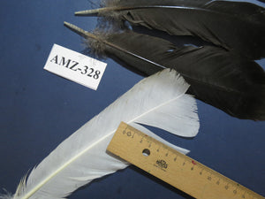 8 Pairs Turkey Feathers, Tail Feathers, Turkey Feathers,Fly Tying Material,Craft Feathers,Natural Feathers (AMZ-328)