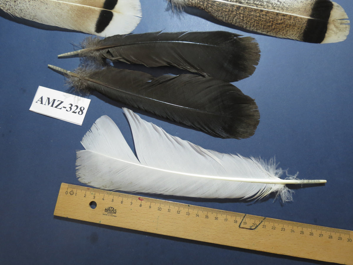 8 Pairs Turkey Feathers, Tail Feathers, Turkey Feathers,Fly Tying Material,Craft Feathers,Natural Feathers (AMZ-328)